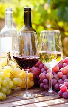 Jauni ir puikūs vynai iš Prancūzijos