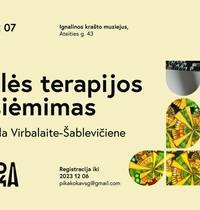 Dailės terapijos užsiėmimas Ignalinoje