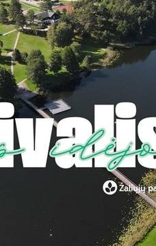 Žalios idėjos festivalis: vasaros palydėtuvių šventė