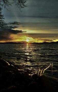 Petro Medeišio fotografijų paroda