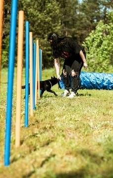 Nemokamas agility renginys su šunimis