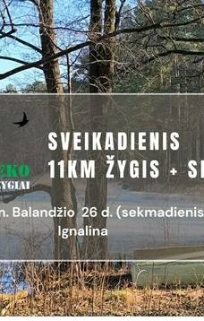 EkoŽygiai Sveikadienis: 11 KM ŽYGIS + SPA