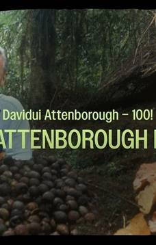 Sengirės kinas ANP Gamtos mokykloje: „Attenborough rojuje“