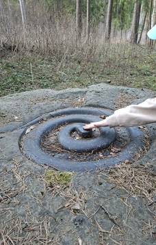 „Amžinu protėvių keliu" po Nalšios kraštą  