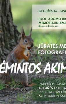 Jūratės Medeišienės fotografijų paroda „Įrėmintos akimirkos“