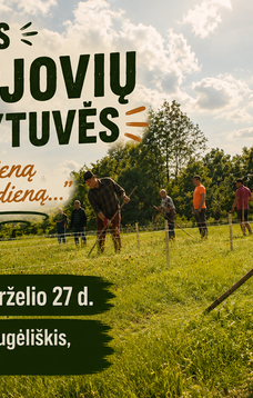 Pjoviau šieną per visą dieną