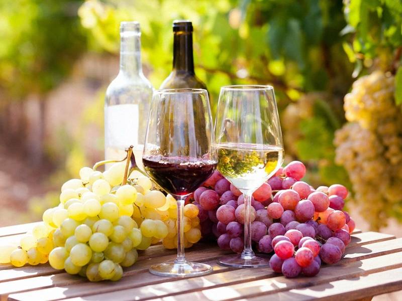 Jauni ir puikūs vynai iš Prancūzijos