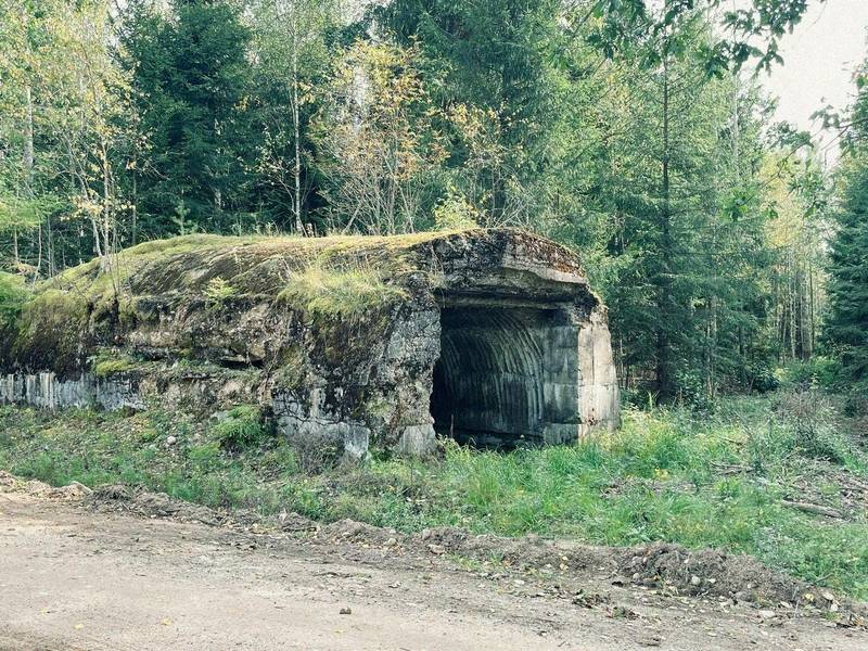 Automobilių žygis po Pirmojo pasaulinio karo įtvirtinimus