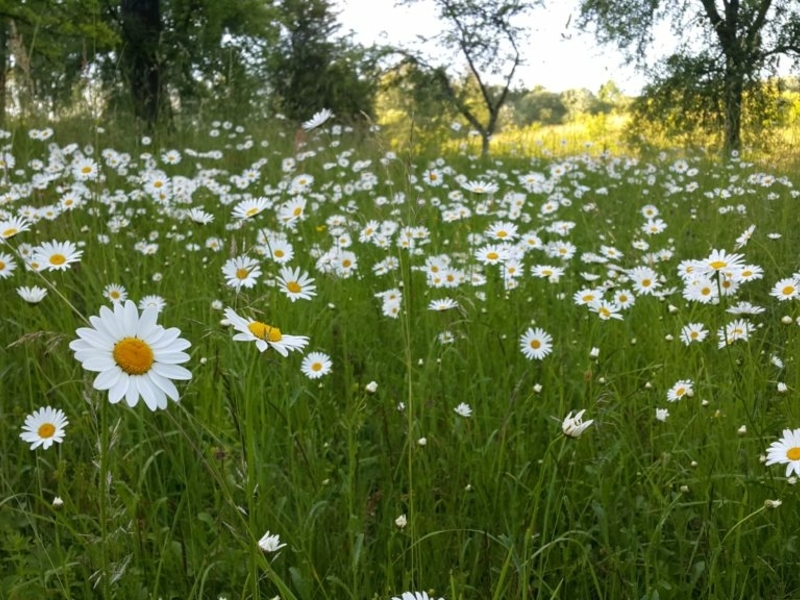 Exkursion nach Prof. Adam Hrebnicki Museumspark und Museum