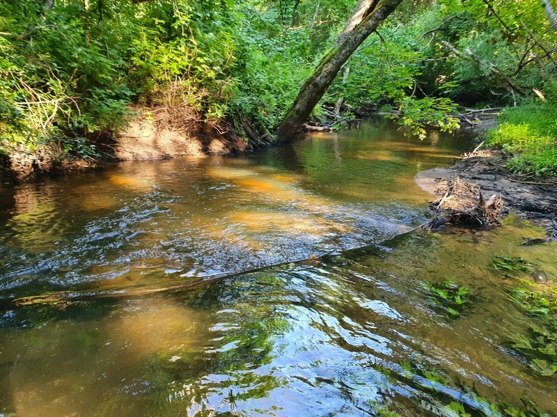 Поход по реке Lt поход "Канчёгина"