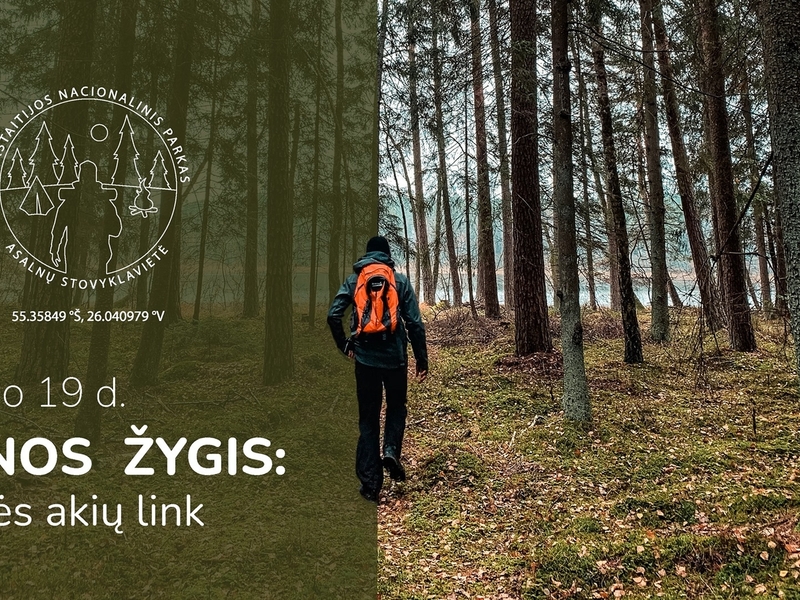 Однодневная поездка: феи навстречу глазам