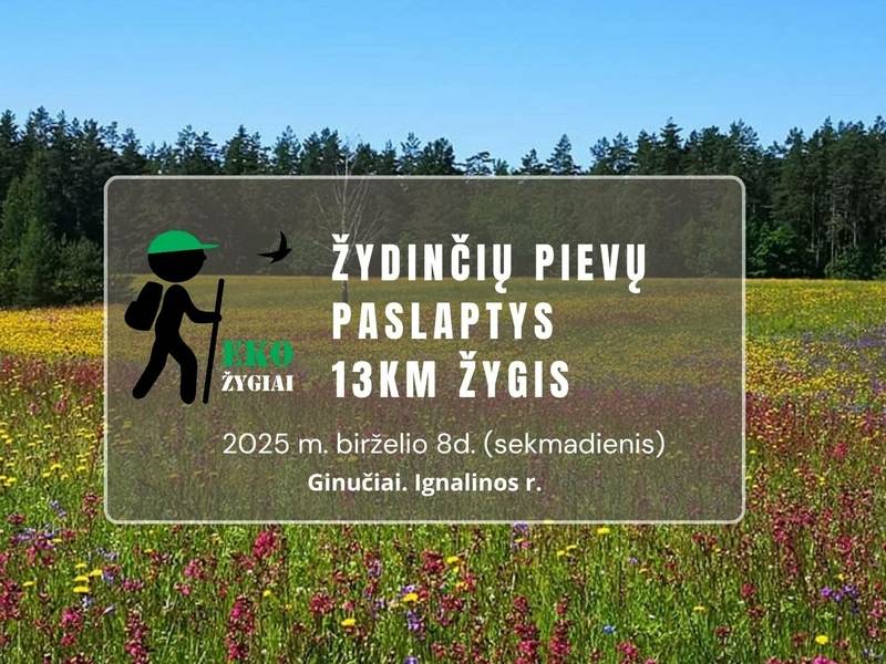 EkoŽygis: Žydinčių pievų paslaptys 13 km
