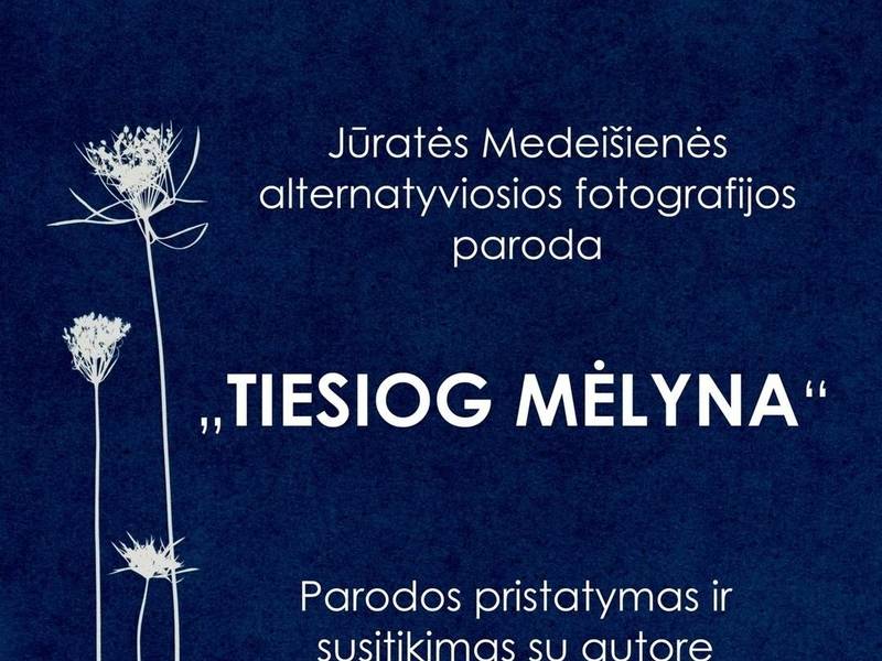 Jūratės Medeišienės parodos "Tiesiog mėlyna" pristatymas