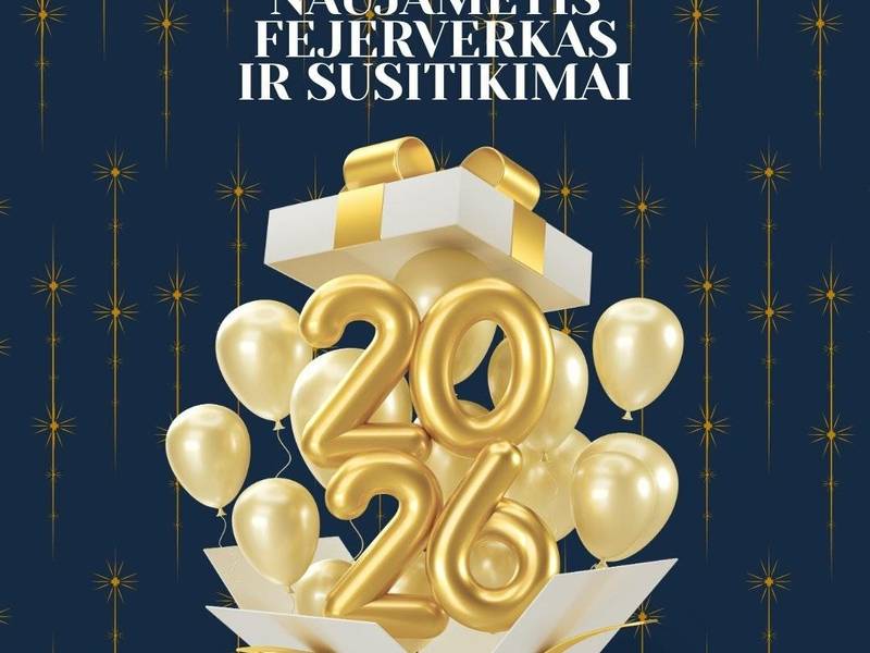 Naujametinis fejerverkas ir susitikimai