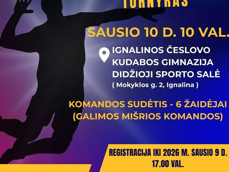 Naujametinis tinklinio turnyras