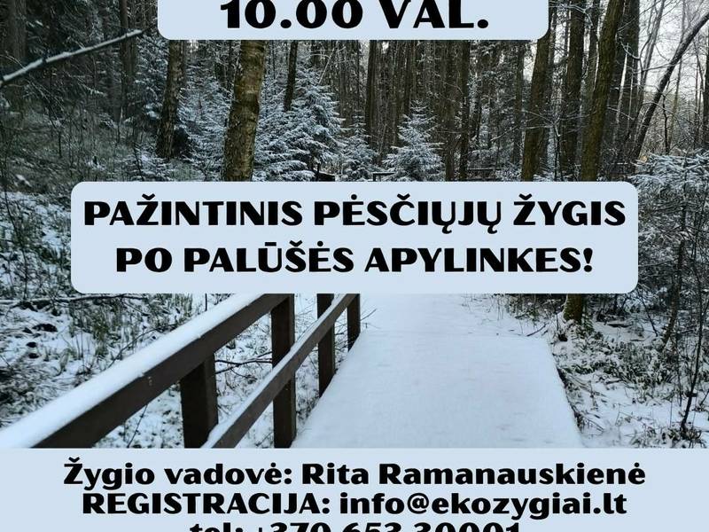 Pėsčiųjų žygis po Palūšės apylinkes