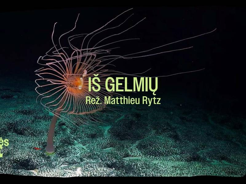 Sengirės kinas Aukštaitijos nacionaliniame parke – „Iš gelmių“