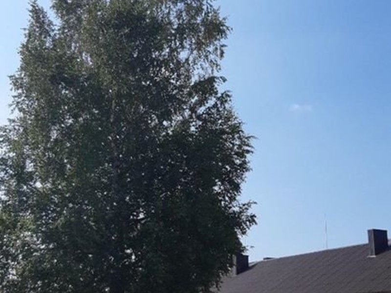 Dysnos viešosios bibliotekos renginiai sausio mėn.