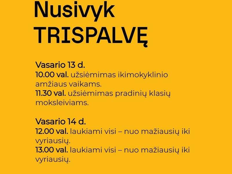 Spalvinga apyrankių vijimo edukacija „Nusivyk trispalvę“