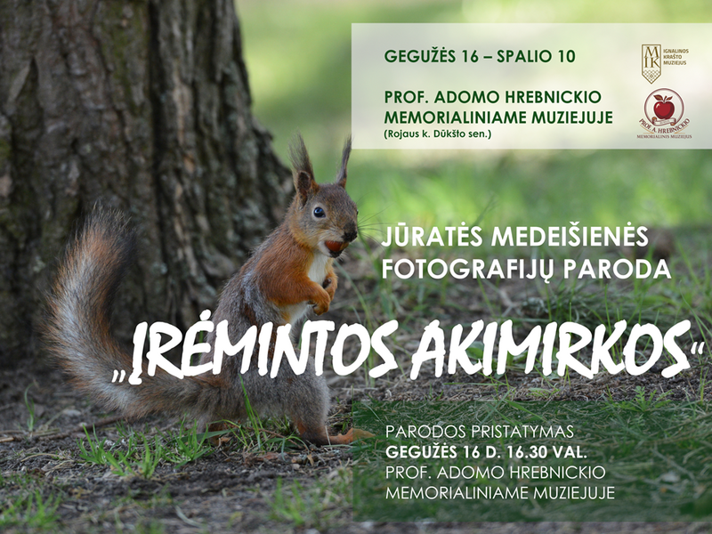Jūratės Medeišienės fotografijų paroda „Įrėmintos akimirkos“