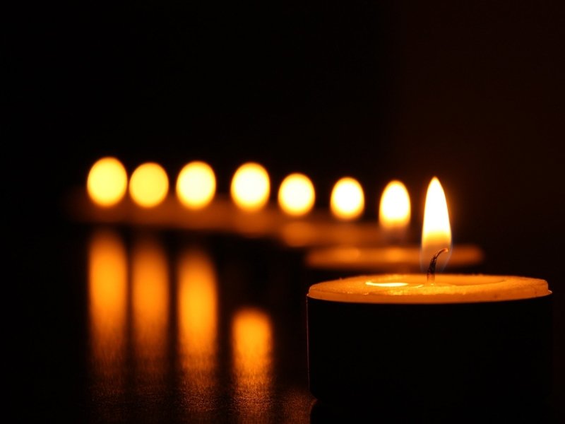 Campaign "Memory is alive because it testifies"