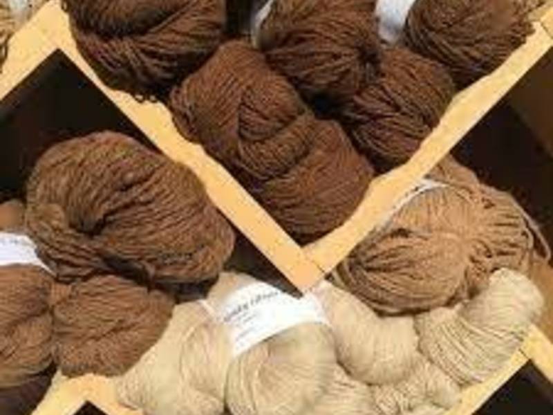 Vaikų darbų paroda „Vilnos ir popieriaus draugystė“ Dysnuose