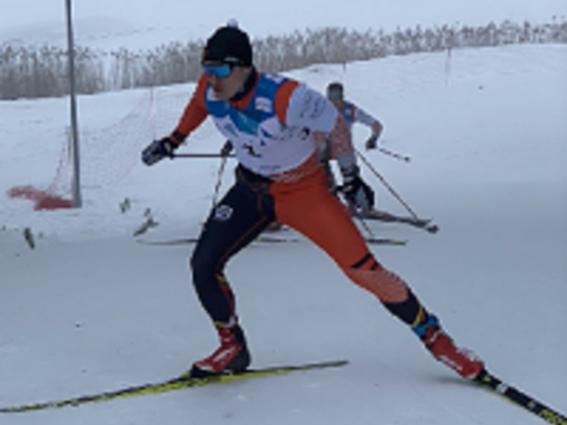 Lietuvos slidinėjimo čempionatas