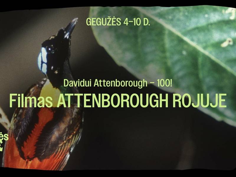 Dokumentinis filmas „Attenborough rojuje“