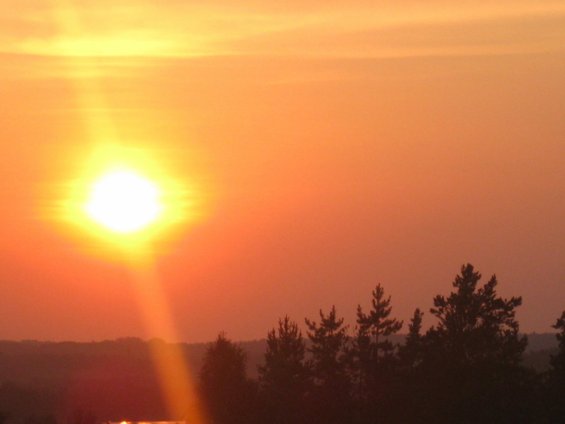 Links: Exhibition "Landscapes of Ignalina"