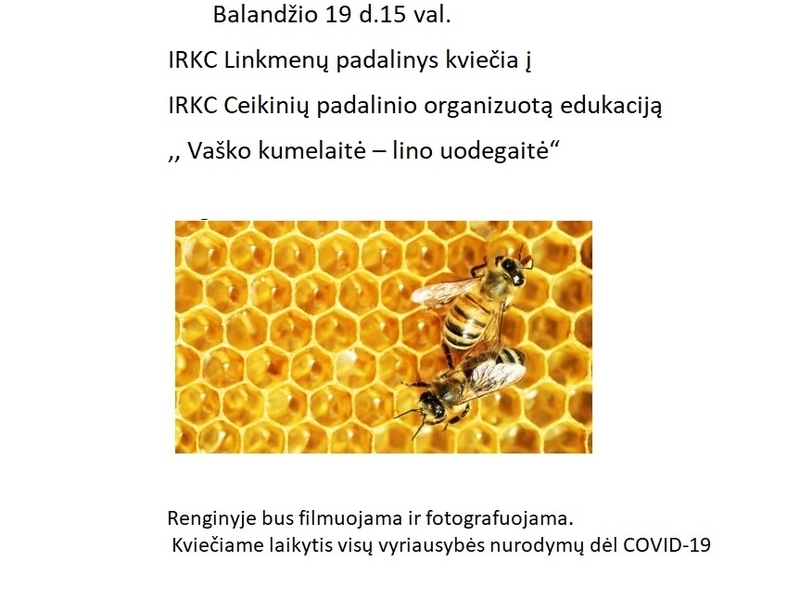 Education in Linkmenys "Wax mare - linen tail"