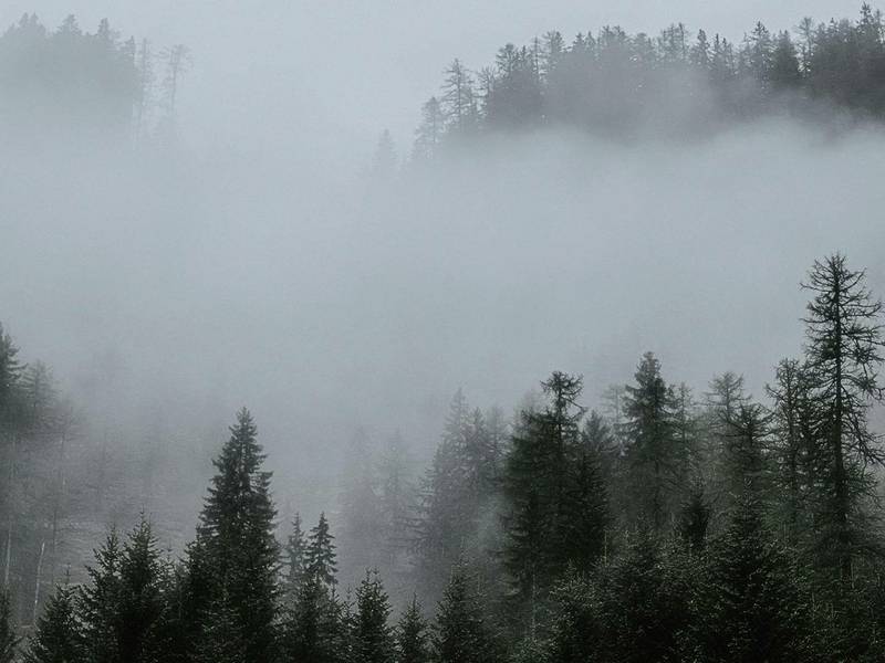 Naktinis žygis po neatrastas istorines žemes