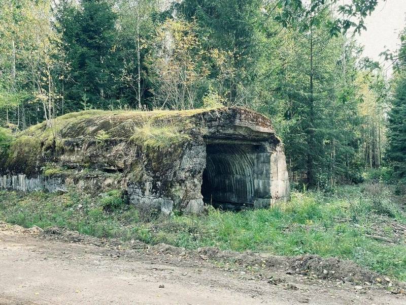 Pažintinis žygis po pirmojo pasaulinio karo įtvirtinimus