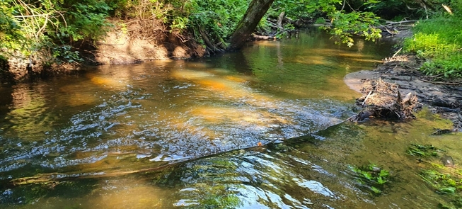 River Hiking LT