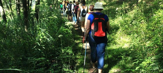 Nordic walking training and hiking organization