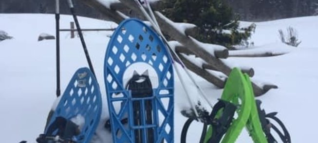 Snowshoes rental