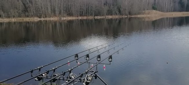 Freizeit-Karpfenangeln im Skudutis-See