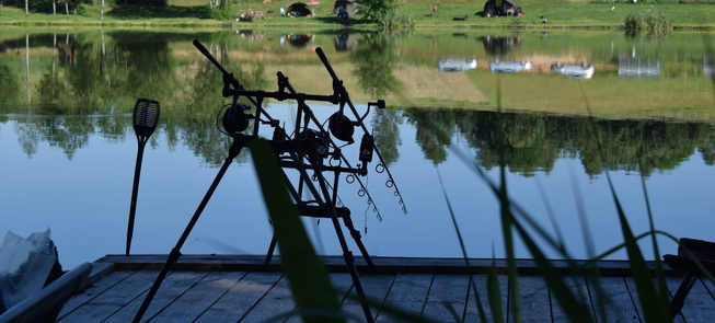 Recreational carp fishing in Skudutis lake